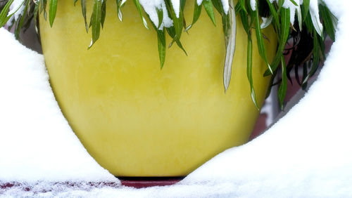 Close-up of ice cream in snow