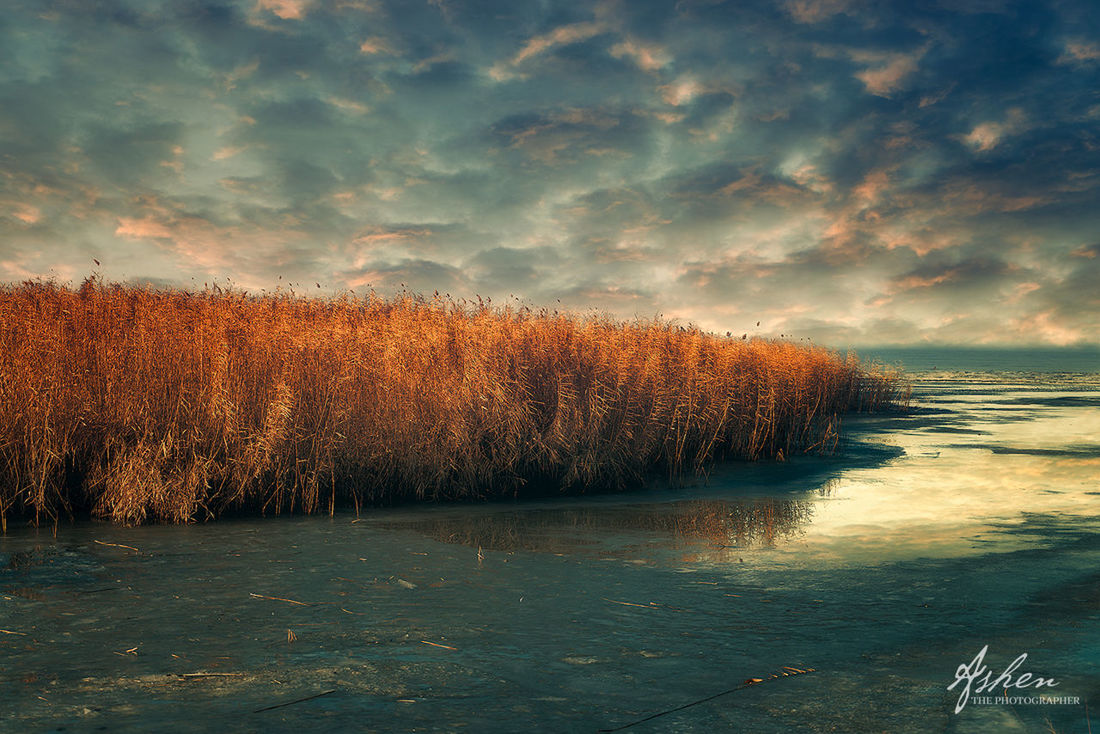 nature, beauty in nature, tranquil scene, water, tranquility, lake, scenics, sky, tree, outdoors, no people, growth, landscape, day