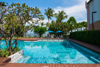 View of swimming pool in park