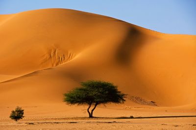 Scenic view of desert against sky