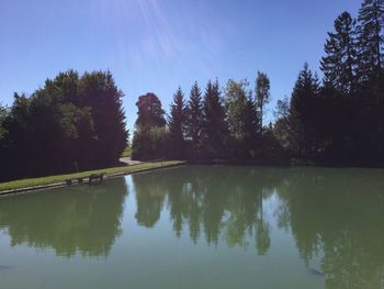 Scenic view of lake in forest against sky