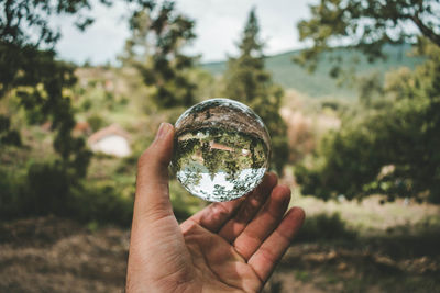 Cropped image of hand holding crystal ball against trees