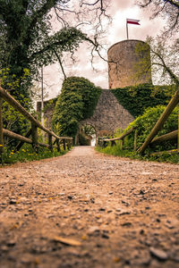 Road amidst trees against sky