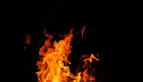 Close-up of bonfire at night