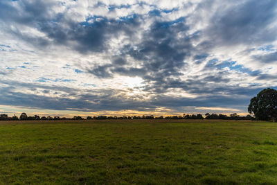 Scenic view of field against sky