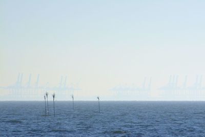 Sailboats in sea against clear sky