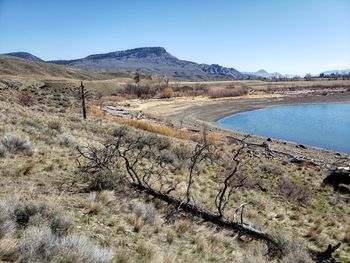 Scenic view of landscape against clear sky