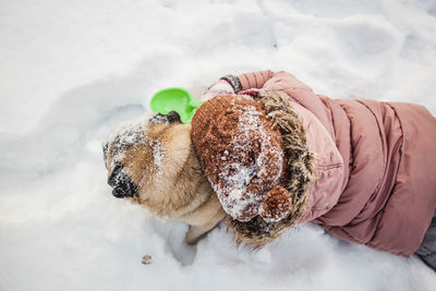 High angle view of person with dog on snow