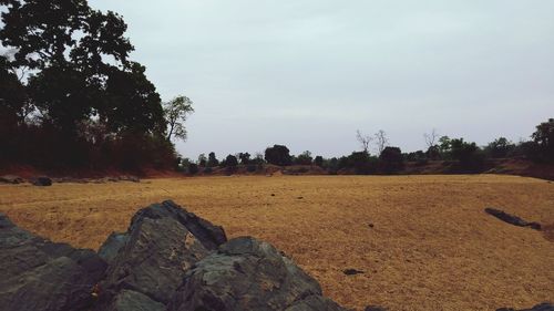 Scenic view of landscape against sky