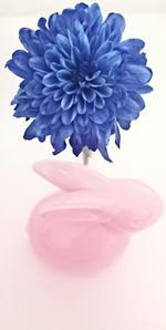 Close-up of flower vase against white background