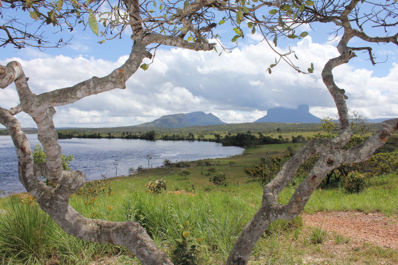 Canaima