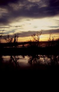 Silhouette of trees against cloudy sky