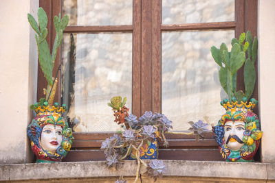 Potted plant by window