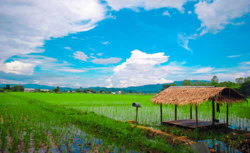 Scenic view of farm against sky