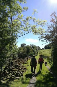 Rear view of people walking on road