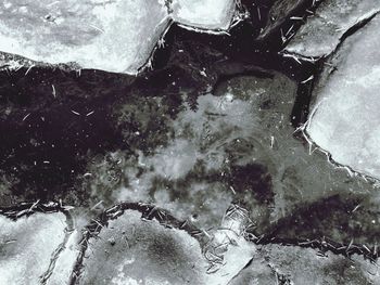 Reflection of trees in puddle