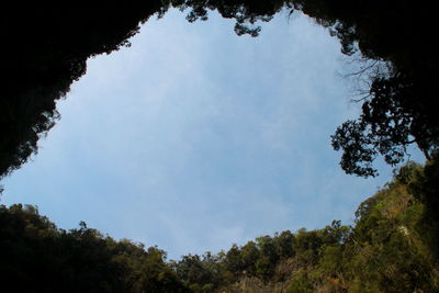 Low angle view of trees against sky