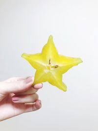 Close-up of hand holding fruit against white background