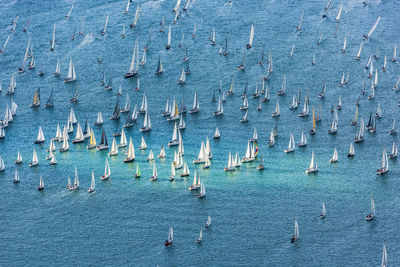 High angle view of sailboats in sea