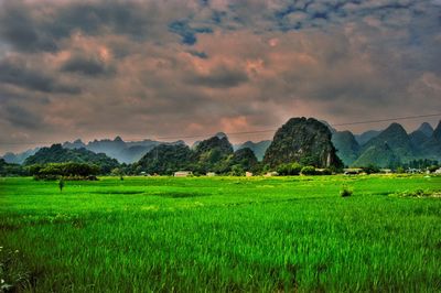 Scenic view of field against cloudy sky