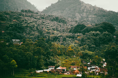 High angle view of trees and mountains