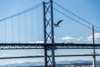 Low angle view of suspension bridge against sky