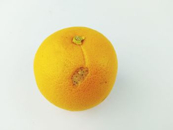 Rotten lemon against white background