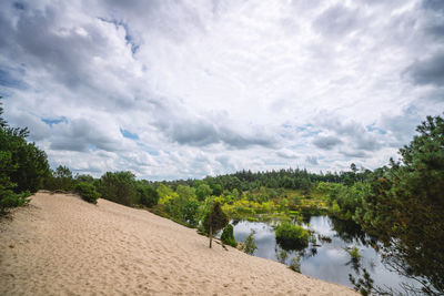 Scenic view of river amidst trees against sky