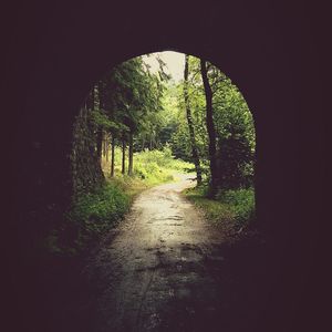 Road passing through tunnel