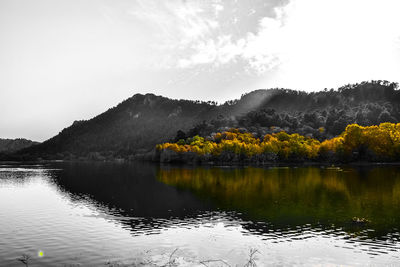 Scenic view of lake by trees against sky