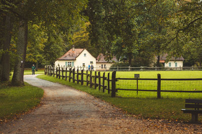 Footpath amidst houses and trees