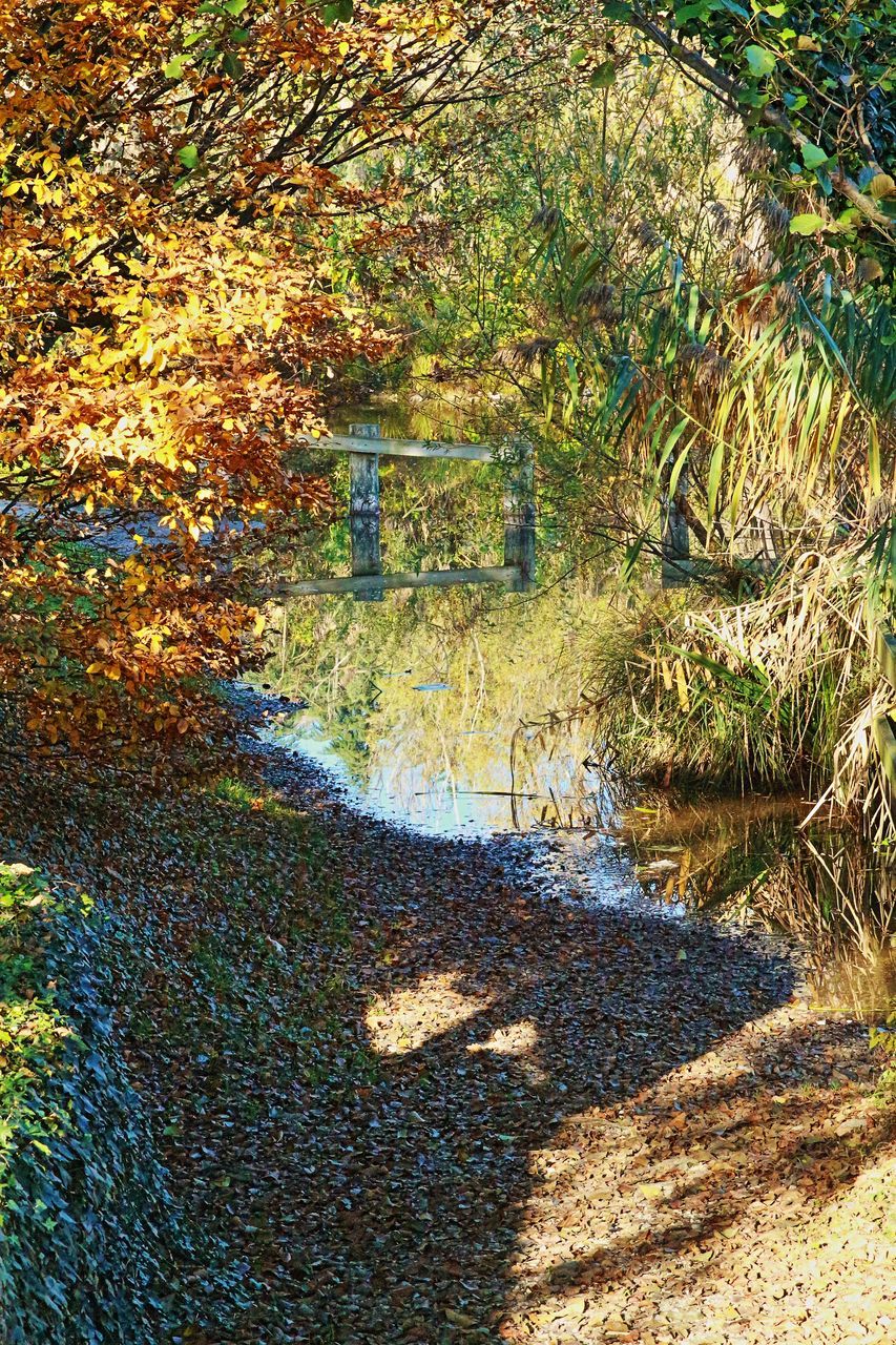 HIGH ANGLE VIEW OF ROAD ALONG WATER