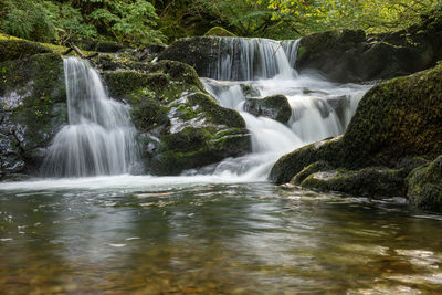 Scenic view of waterfall in forest