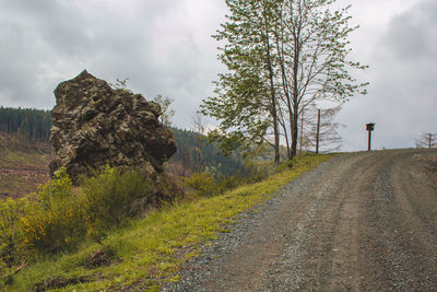 Road amidst trees and plants against sky