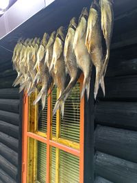 Close-up of fish on barbecue grill