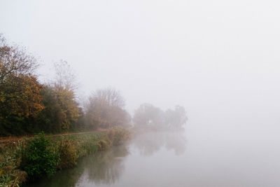 Scenic view of trees in foggy weather against sky