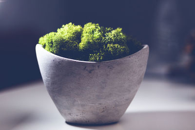Close-up of potted plant on table