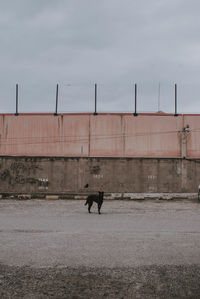 Men walking by building in city against sky