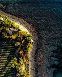 Directly above shot of beach