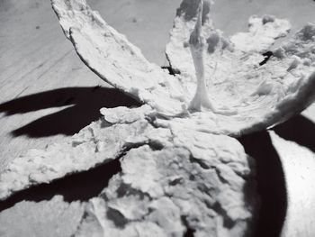 Close-up of human hand