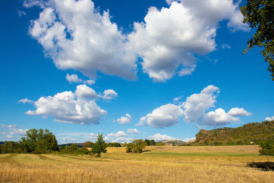 Scenic view of field against sky