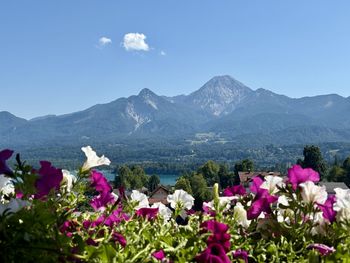High angle view of townscape against sky