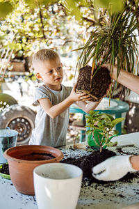 Spring houseplant care, repotting houseplants. happy little kid boy planting houseplants in pots