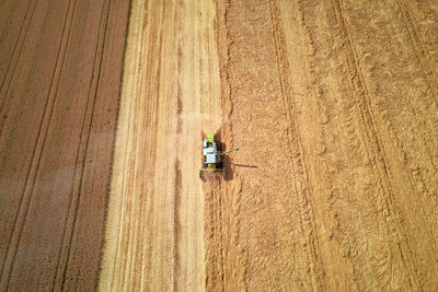 Aerial view of working harvesting combine in wheat field, harvest season