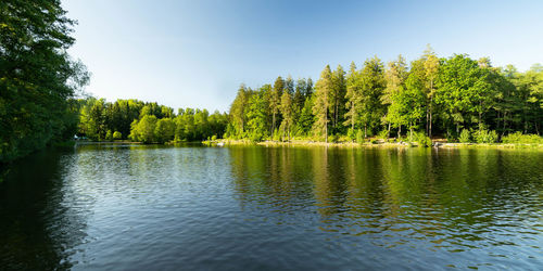 Scenic view of lake by trees against sky