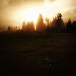 Scenic view of landscape at sunset