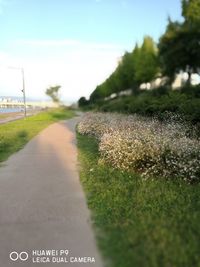 Road amidst plants on field against sky