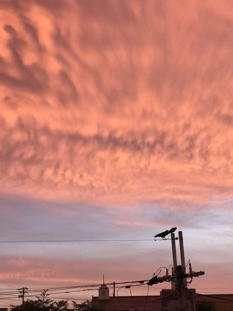 cloud - sky, sunset, sky, industry, machinery, orange color, nature, no people, silhouette, beauty in nature, outdoors, development, construction industry, construction site, crane - construction machinery, equipment, factory, architecture, dramatic sky, built structure, industrial equipment, construction equipment