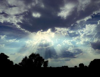 Silhouette of trees against cloudy sky