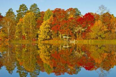 Reflection of trees on lake during autumn